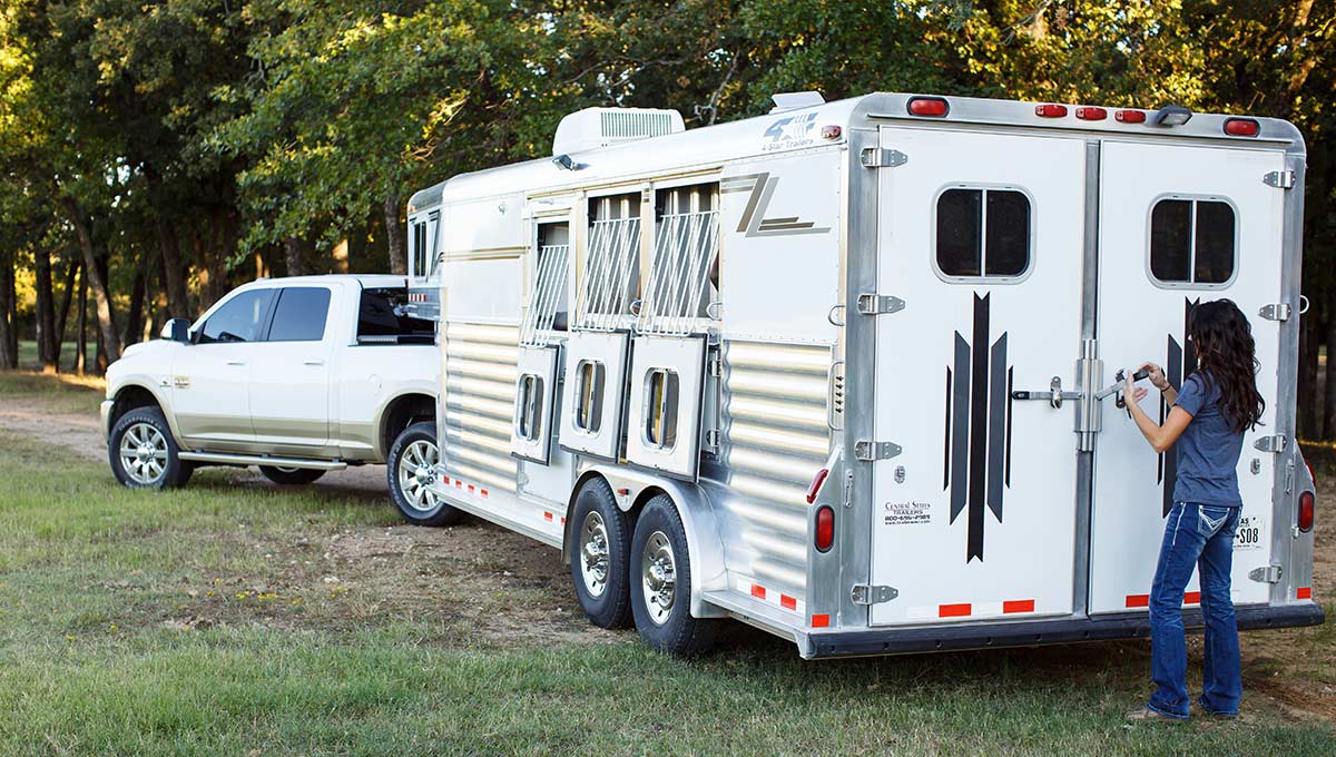 ways-to-keep-your-horse-cool-in-trailer