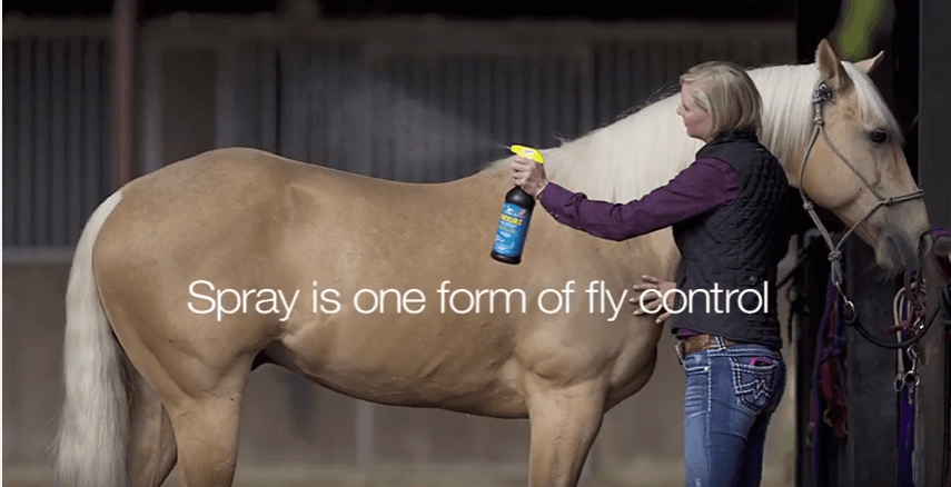 Farnam FASTip: Getting the Most out of Your Fly Spray