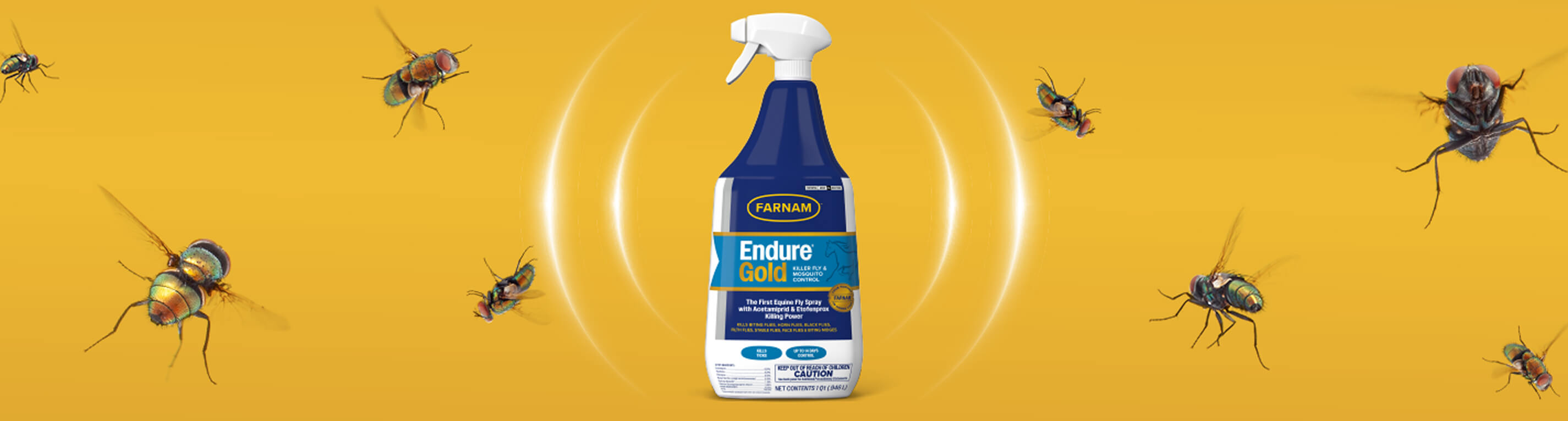 Benefits SectionDesktop 12x