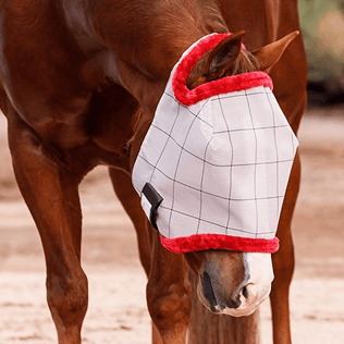 eCommerce Images_2 1