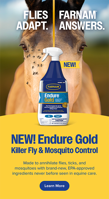 Mobile-Banner_Taller