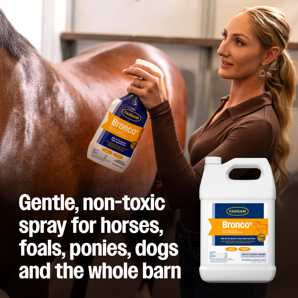 Woman spraying Farnam Bronco e on horse in stable
