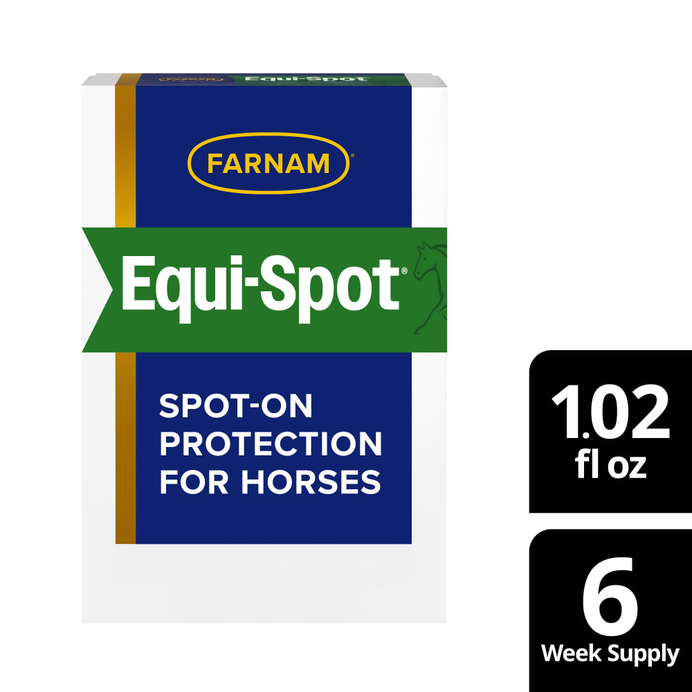 sapm100506084-hero01