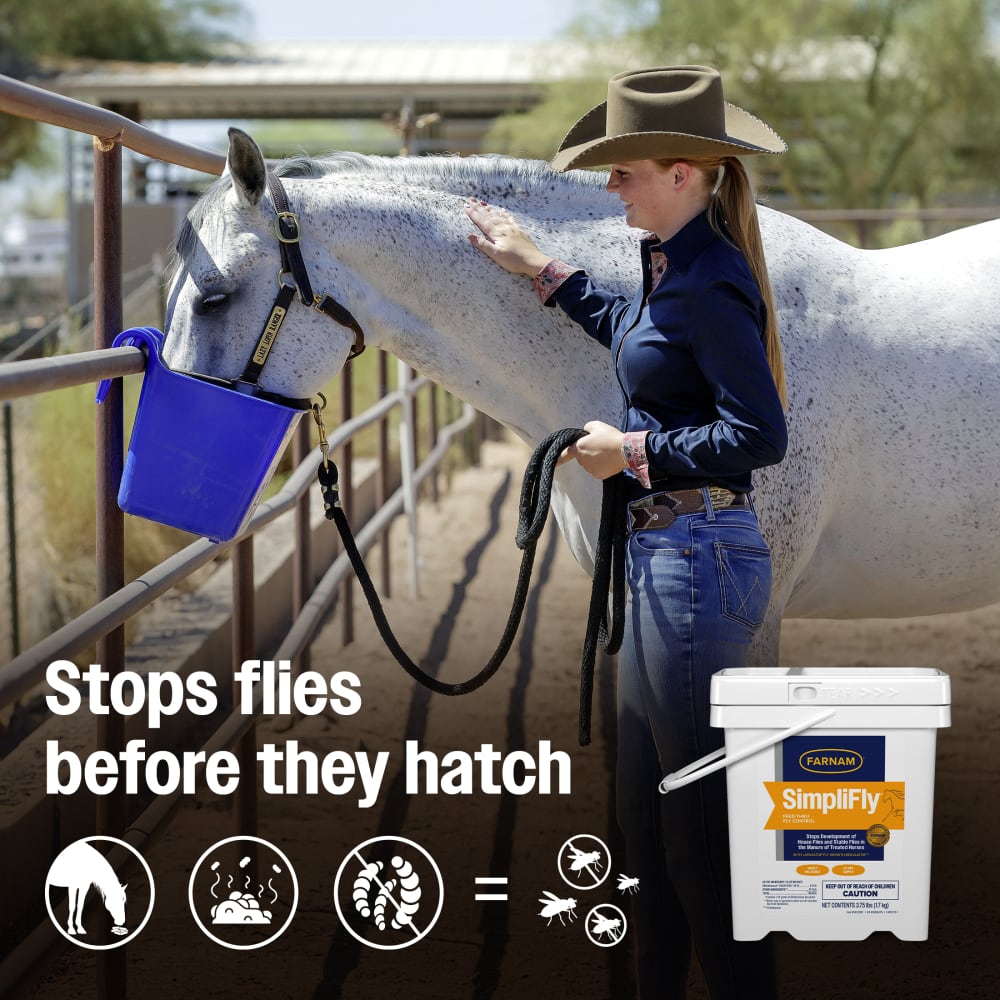 Cowgirl feeding a gray horse with SimpliFly bucket and text: stops flies before they hatch