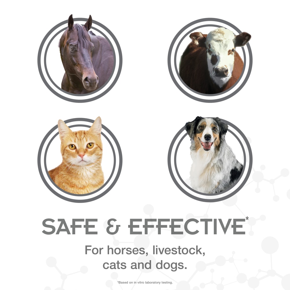 7-purishield-safe-and-effective