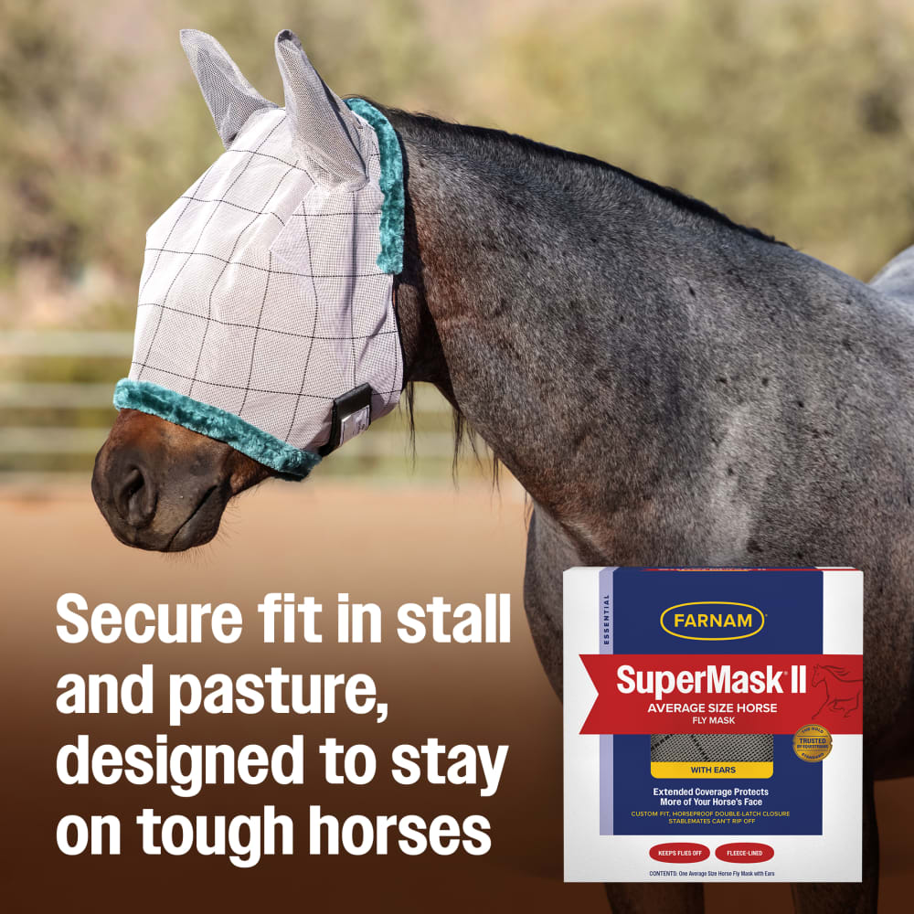 Gray horse wearing SuperMask II with ears in pasture setting