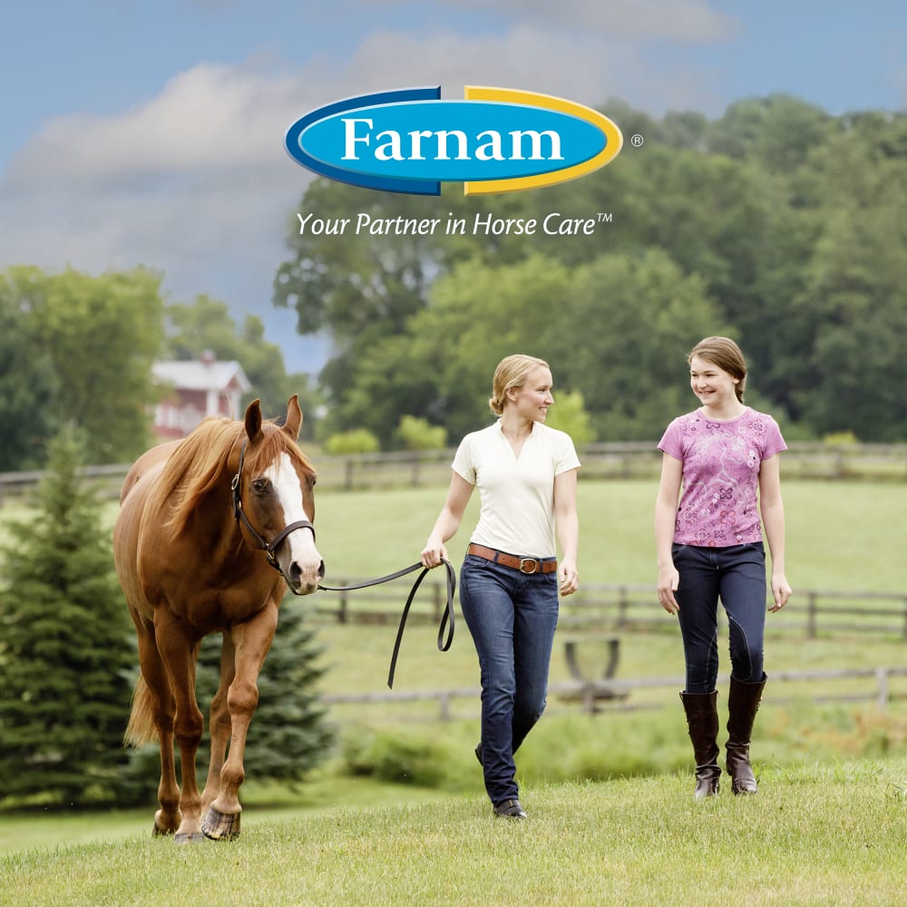 farnam-lifestyle20brandinga