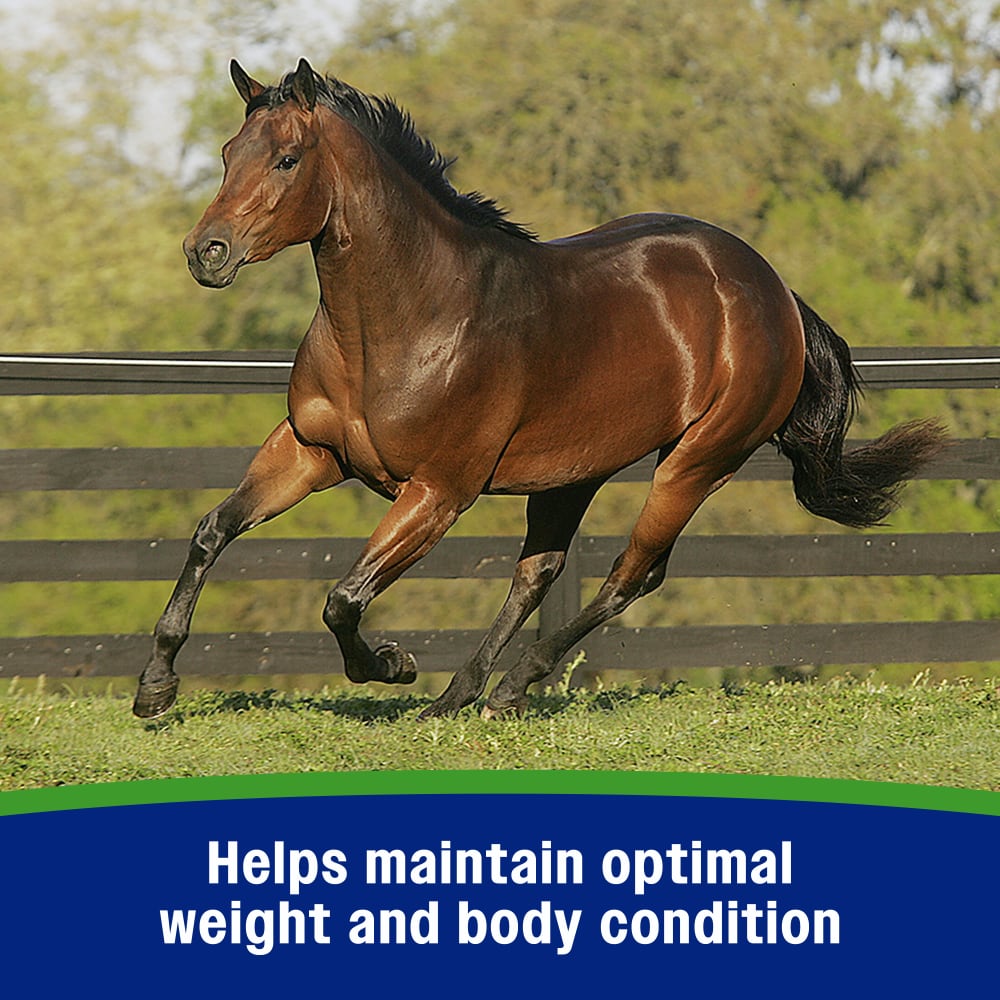 Helps maintain optimal weight and body condition
