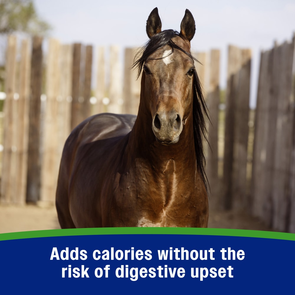 Adds calories without the risk of digestive upset
