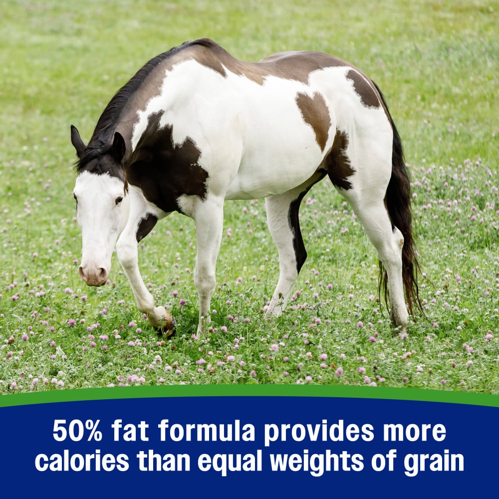 50% fat formula provides more calories than equal weights of grain