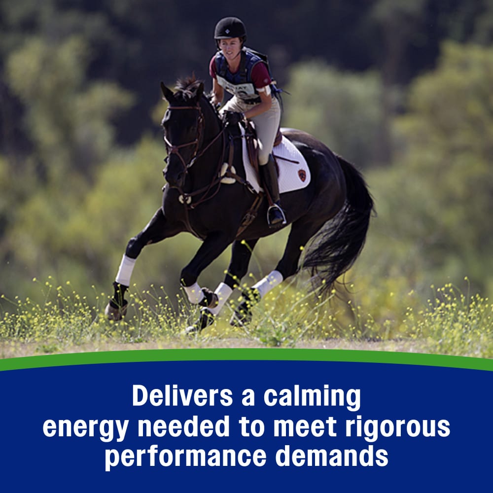 Delivers a calming energy needed to meet rigorous performance demands