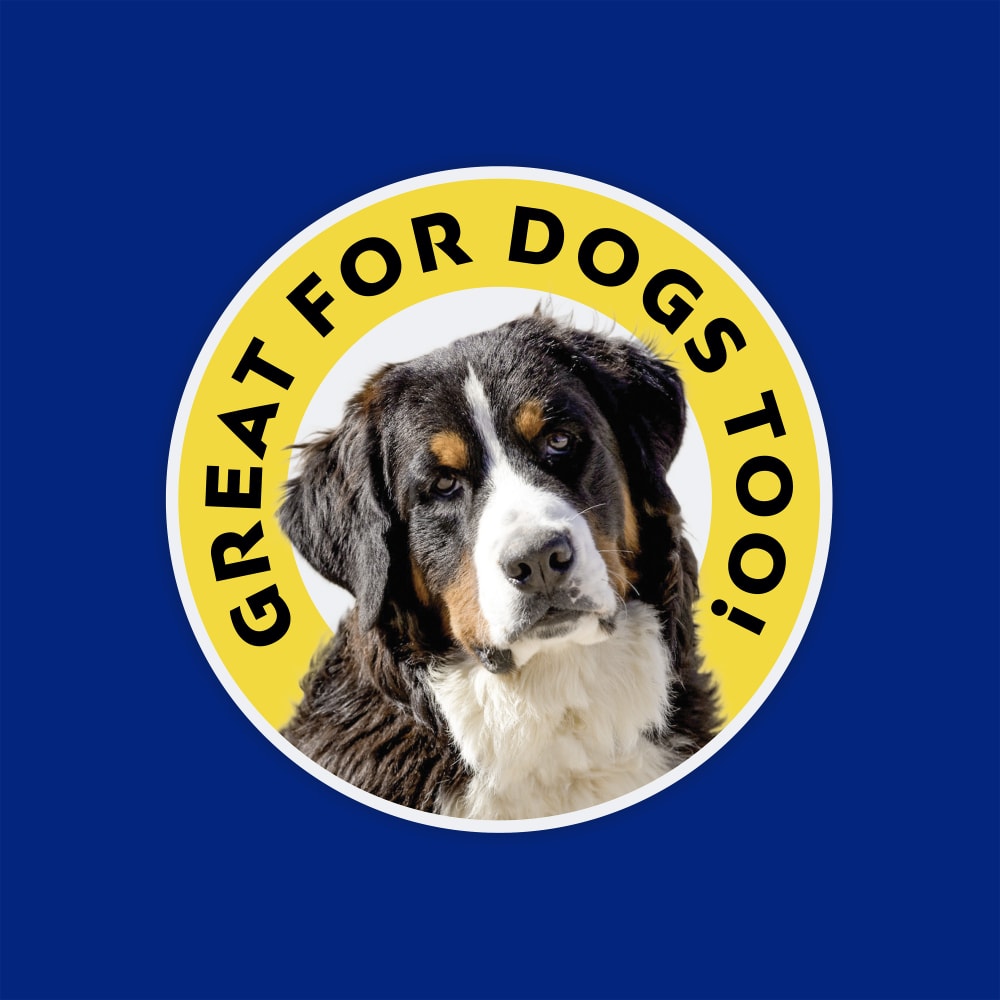 Great for dogs too