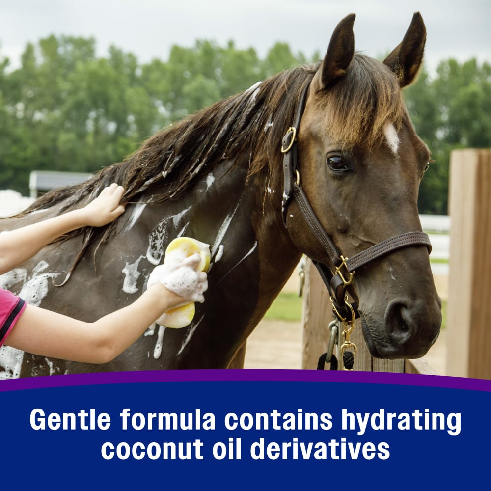 Gentle formula contains hydrating coconut oil derivatives