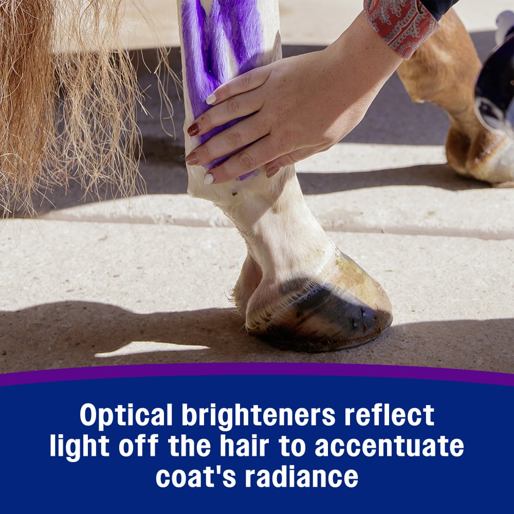 Optical brighteners reflect light off the hair to accentuate coat's radiance