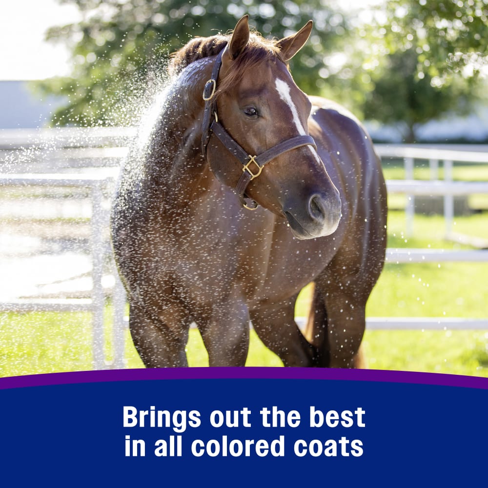 Brings out the best in all colored coats