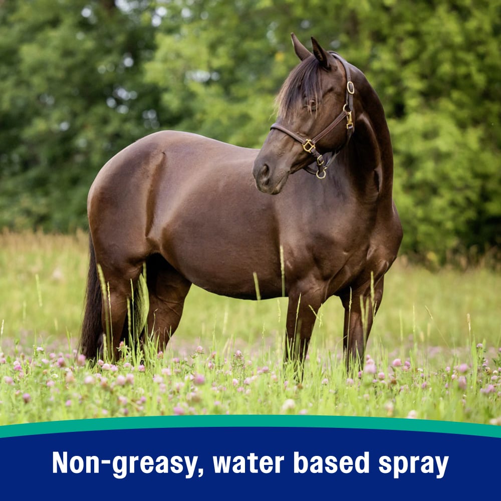 Non greasy and water based spray