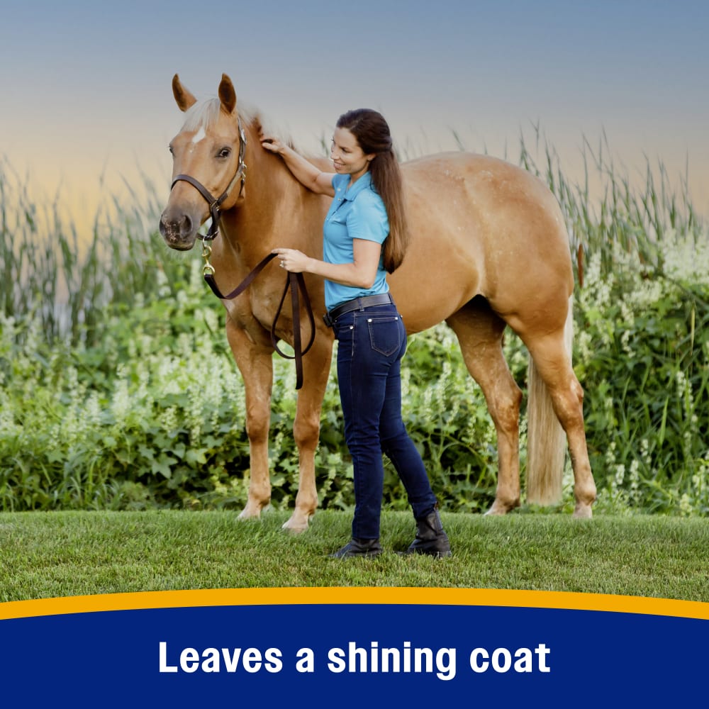 Leaves a shining coat