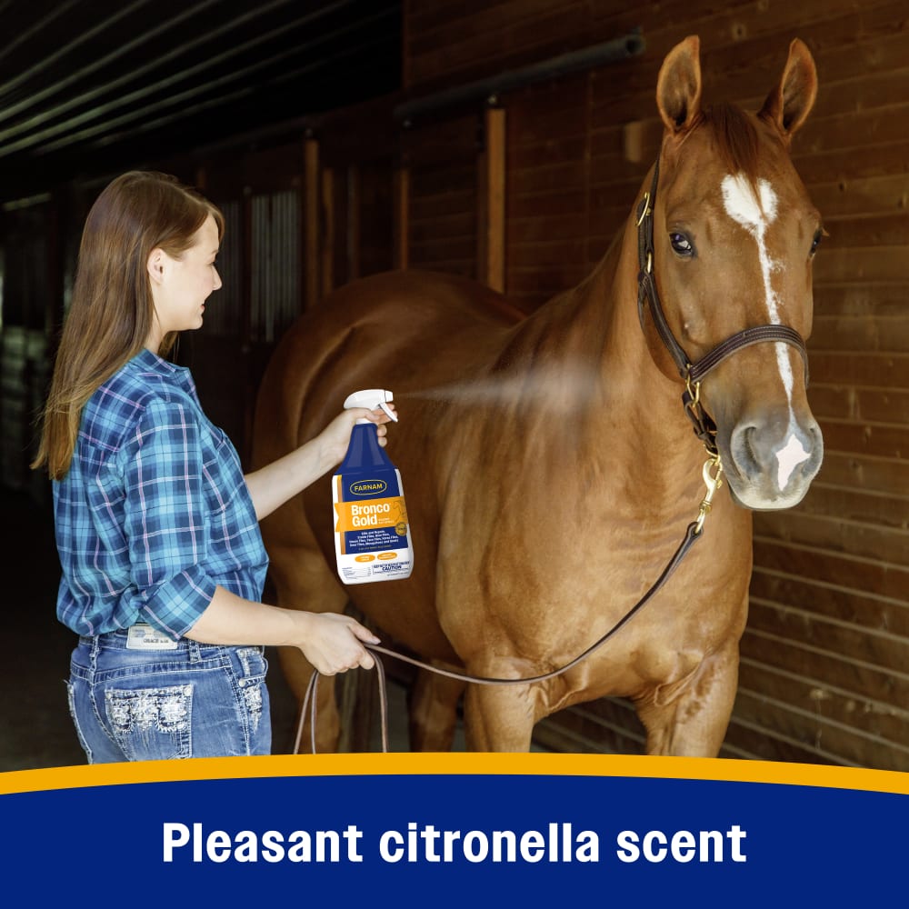 Pleasant citronella scent