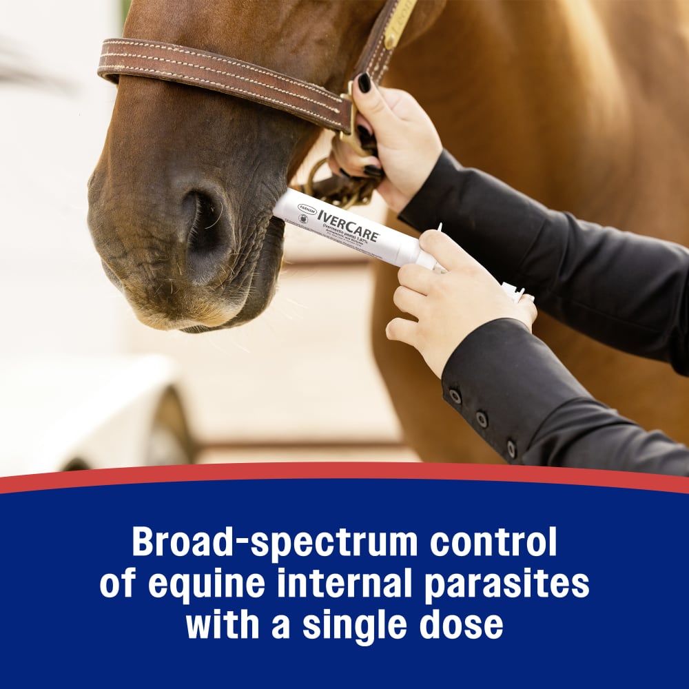 Broad spectrum control of equine internal parasites with a single dose