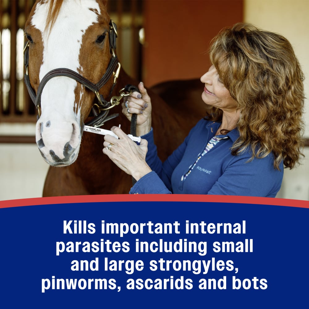 Kills important internal parasites including small and large strongyles and pinworms and ascarids and bots