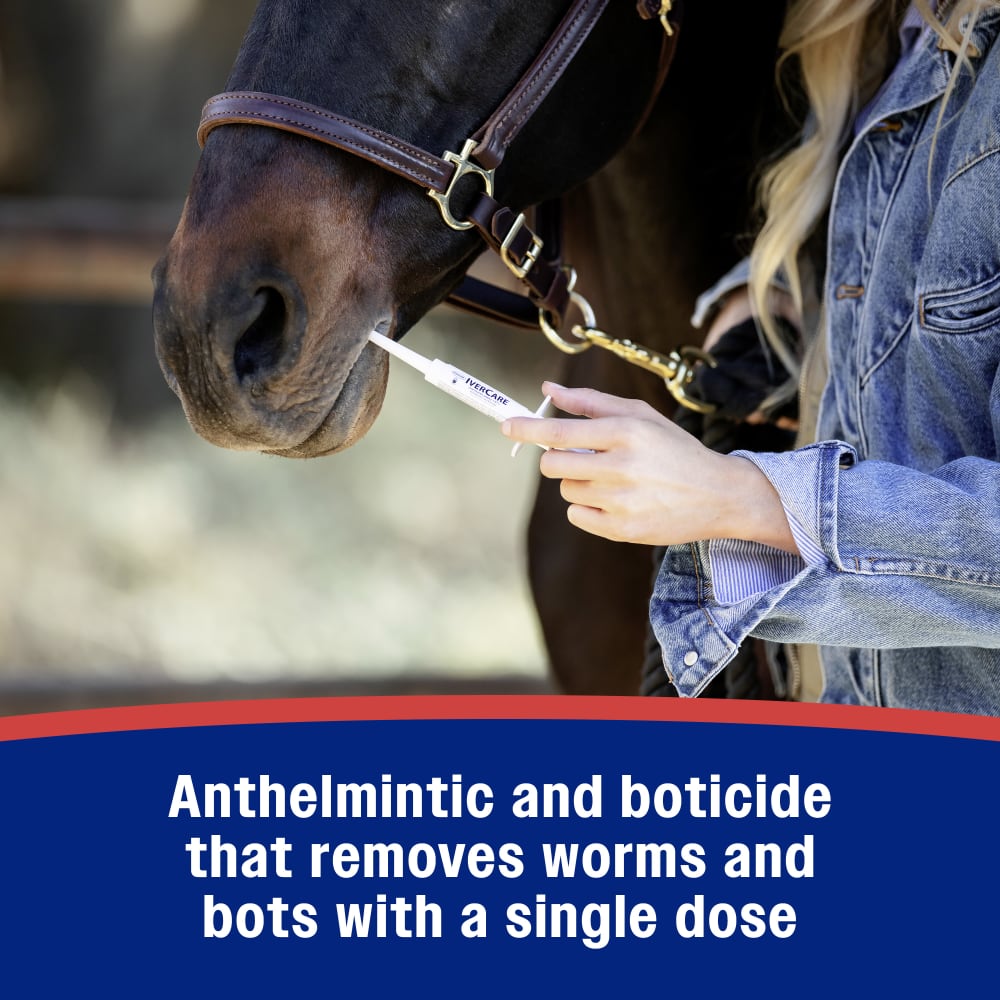 Anthelmintic and boticide that removes worms and bots with a single dose