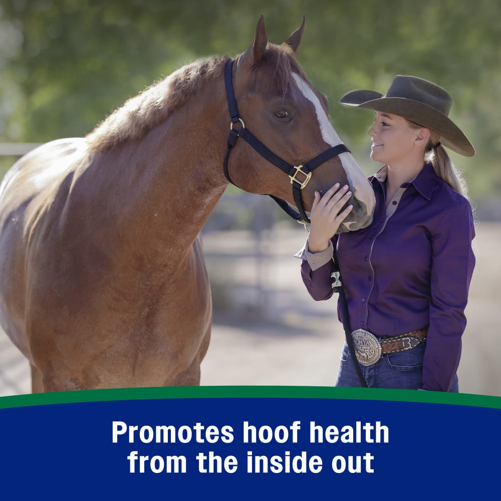 Promotes hoof health from the inside out