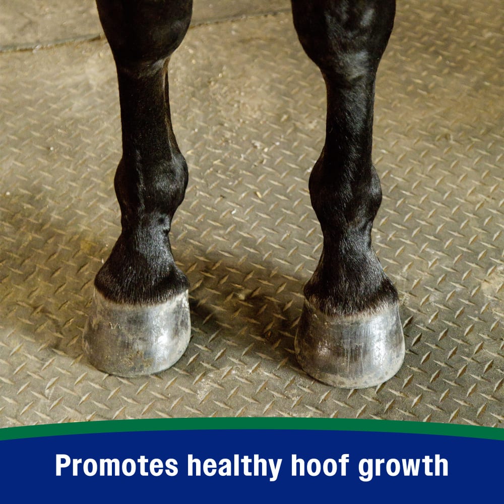 Promotes healthy hoof growth