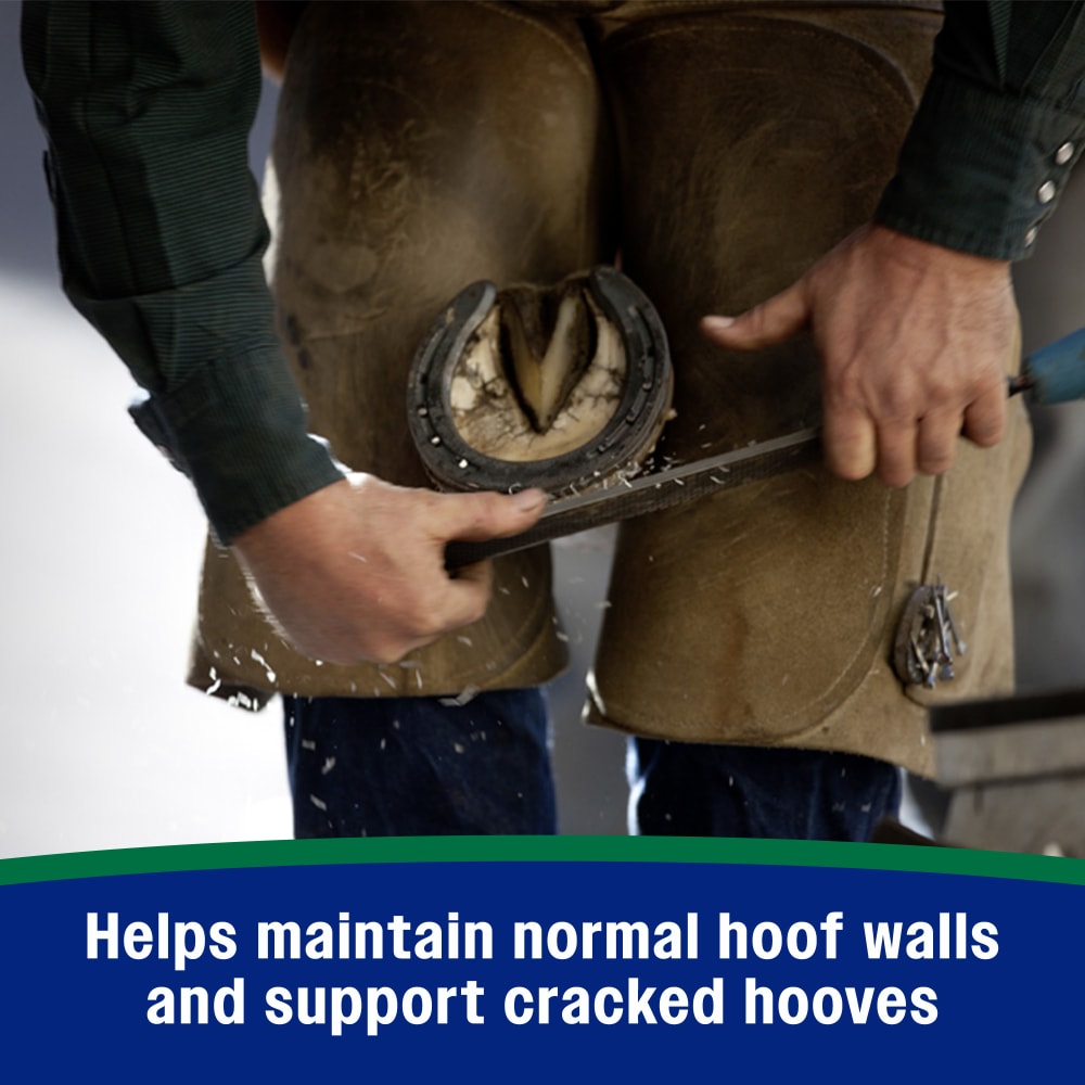 Helps maintain normal hoof walls and support cracked hooves