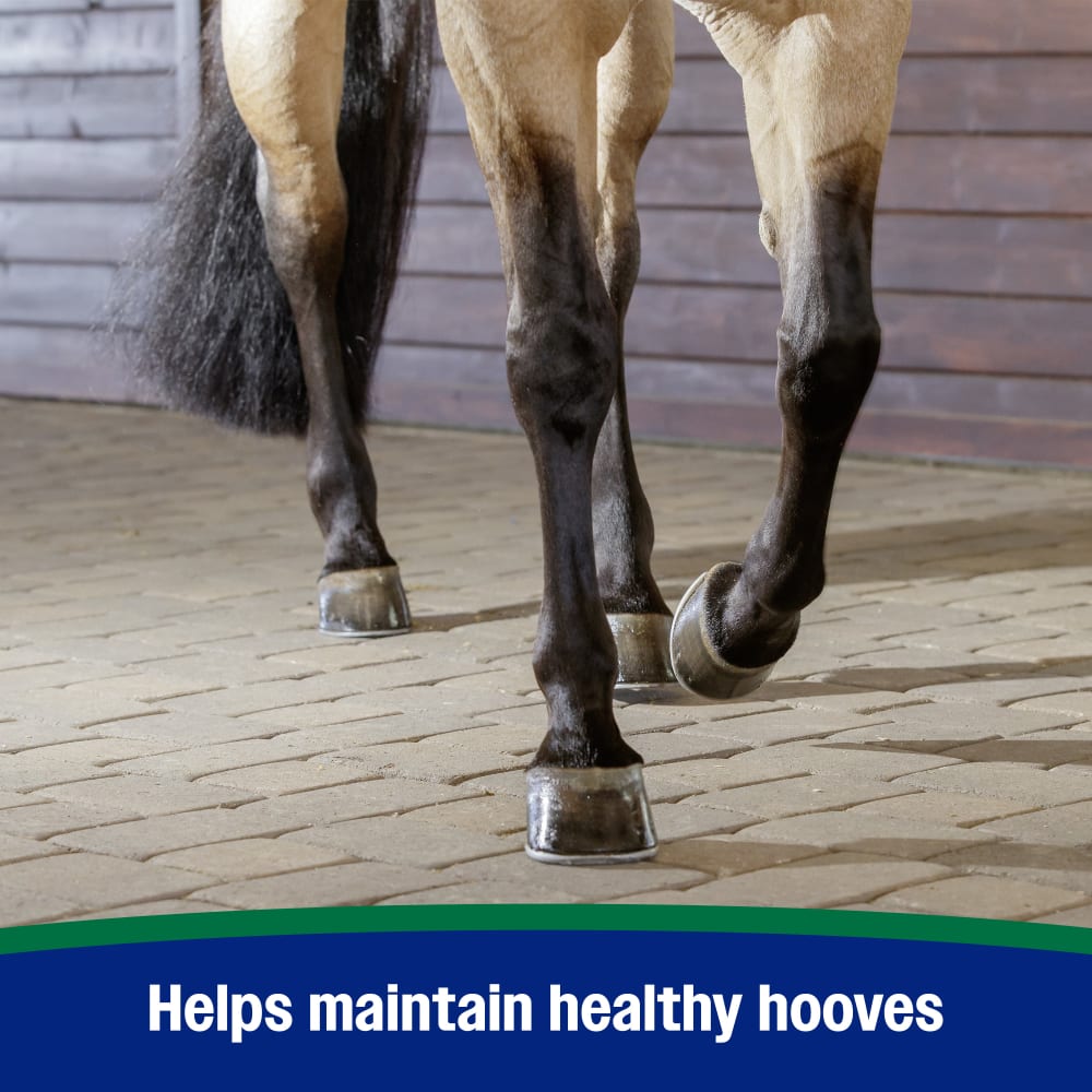 Helps maintain healthy hooves