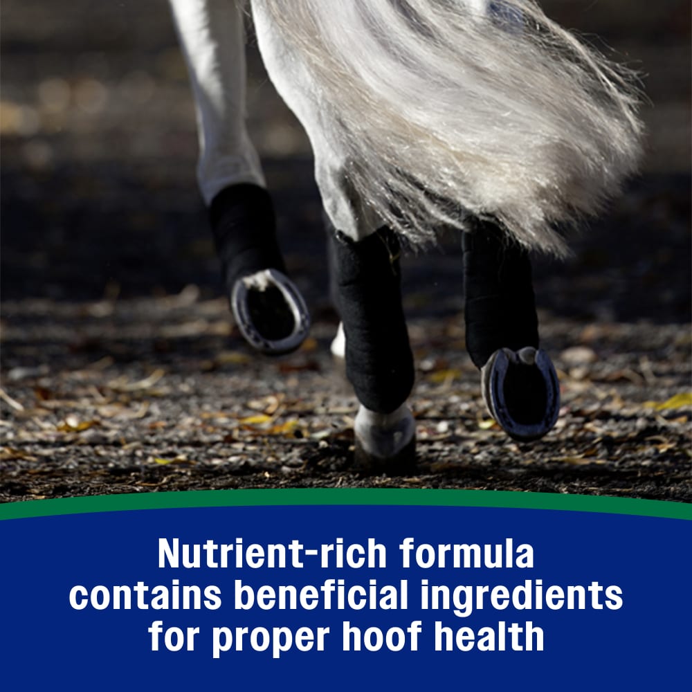 Nutrient rich formula contains beneficial ingredients for hoof health