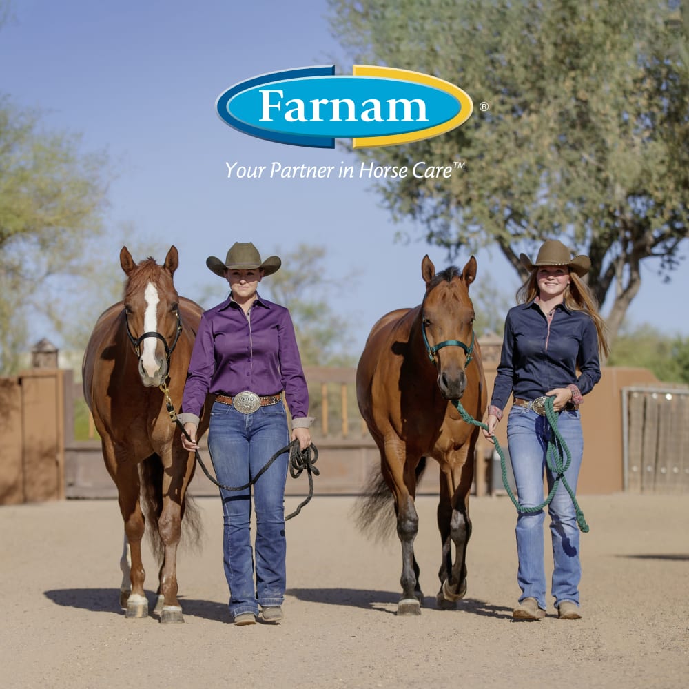 farnam-lifestyle20brandingc