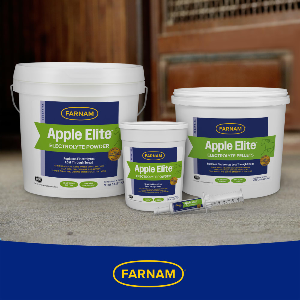 The family of four apple elite electrolyte products