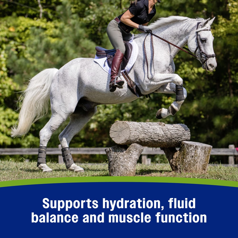 Supports hydration, fluid balance and muscle function