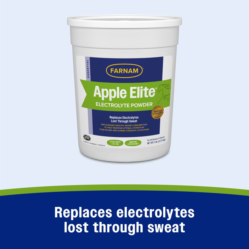 Apple elite electrolyte powder replaces electrolytes lost through sweat