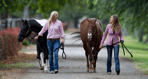 Two horse owners walking their horses and sharing a moment together outside.