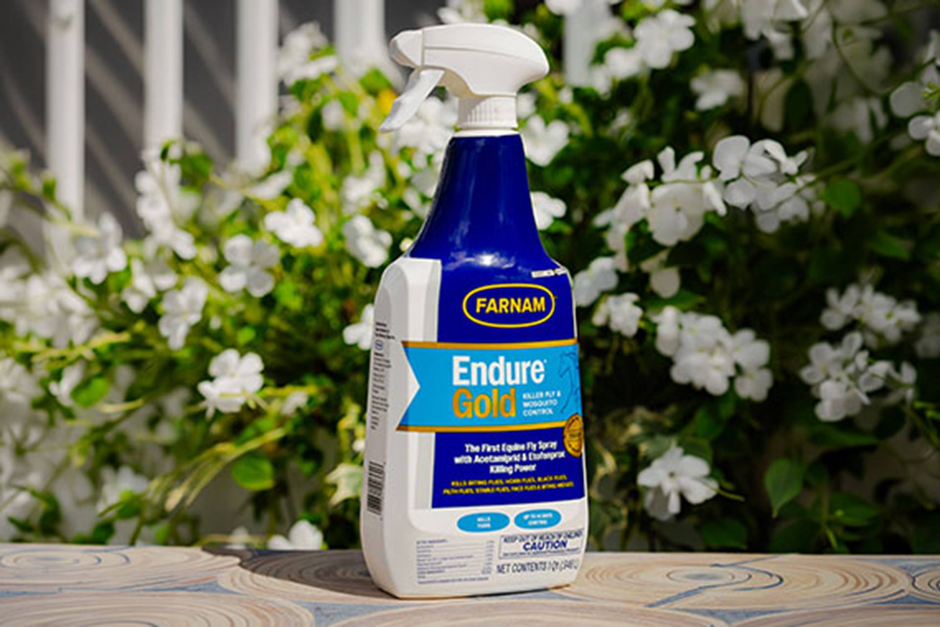 fly-control-may-the-odds-be-ever-in-your-favor