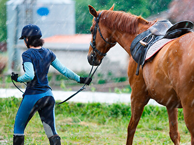 Safeguard Your Horse From Lightning Danger, Stable Talk